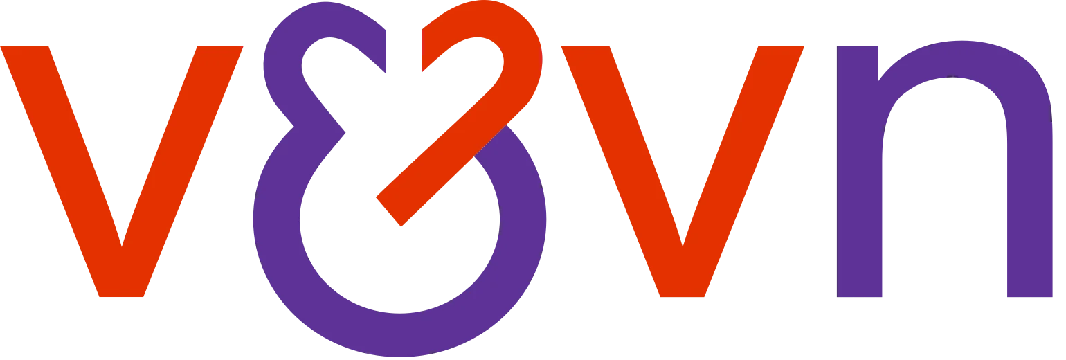 V&VN